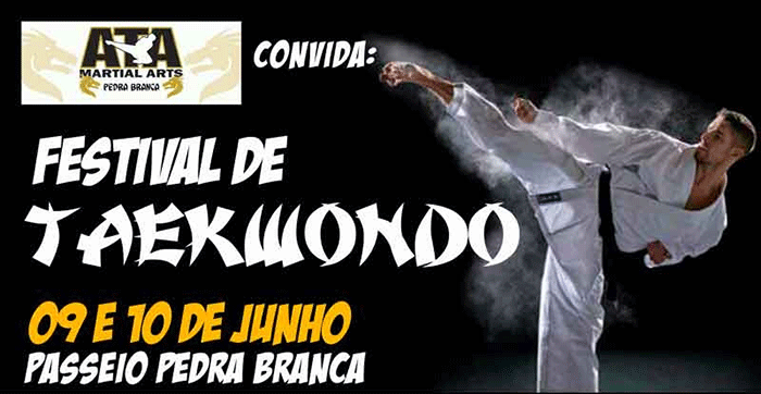 Festival de Taekwondo movimenta a Grande Florianópolis