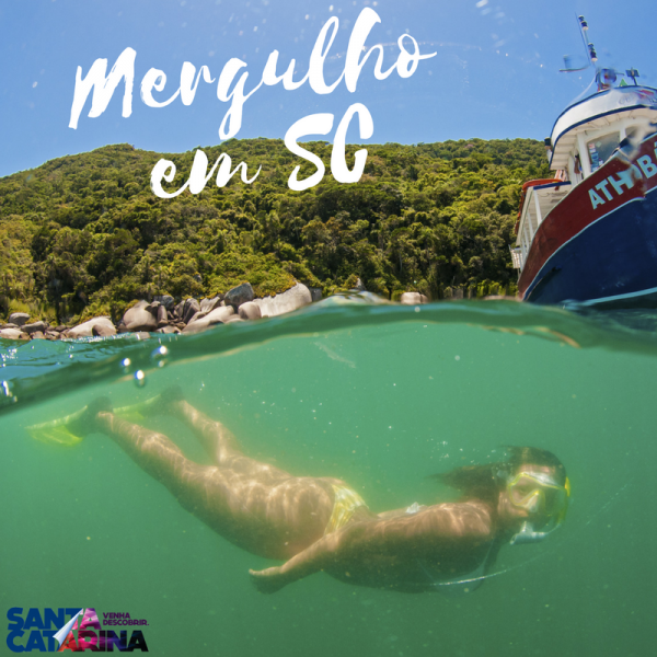 Mergulho em Santa Catarina - turismoonline.net.br
