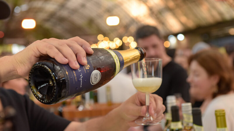 Connection Terroirs do Brasil – Guilherme Paulus apresenta visão sobre turismo de alto padrão
