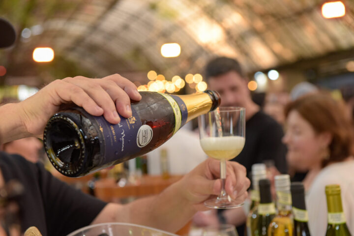 Connection Terroirs do Brasil – Guilherme Paulus apresenta visão sobre turismo de alto padrão