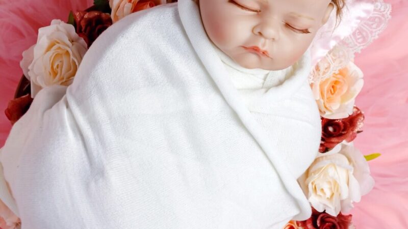 O que e por quê, mulheres estão buscando bebês reborn?