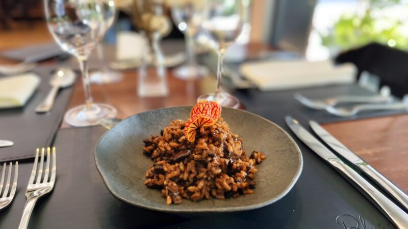 Blue Tree Premium Florianópolis oferece gastronomia regional em ambiente moderno e acolhedor