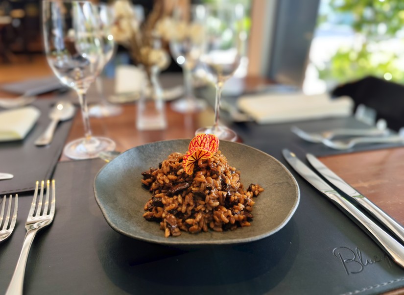 Blue Tree Premium Florianópolis oferece gastronomia regional em ambiente moderno e acolhedor