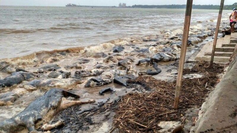 Navio Haidar: Sob olhar do mundo e tensão institucional, TJPA julga tragédia de 2015