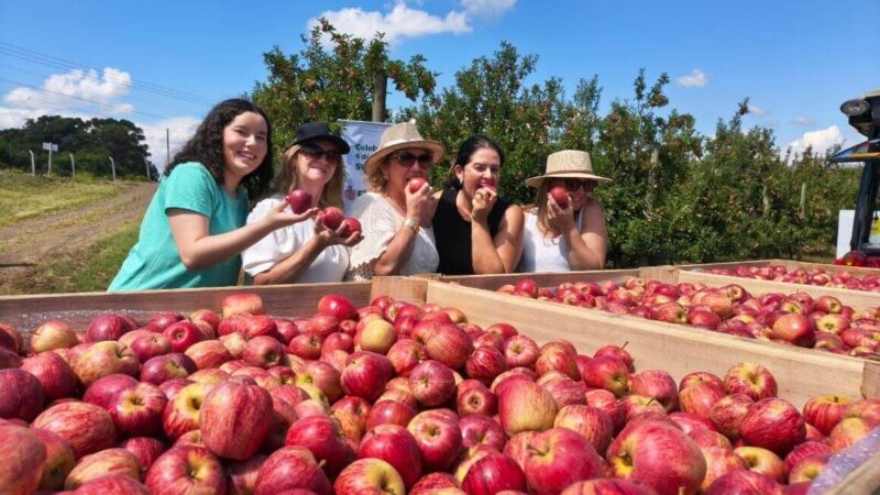 Abertura da Colheita da Maçã 2026 destaca força econômica do setor e potencial turístico da região