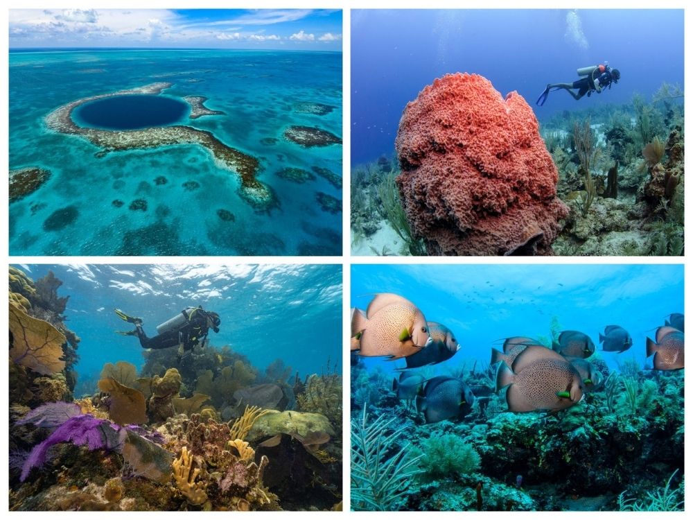 Belize espera por você para explorar o Great Blue Hole e outros pontos de mergulho