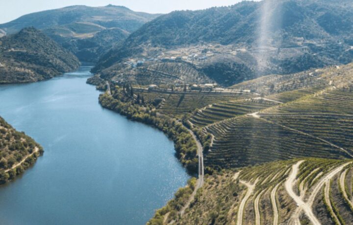 Vinho do Porto: mitos sobre harmonização