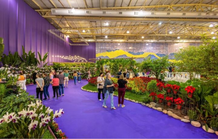 Joinville apresenta Natal e Festa das Flores em feira de turismo